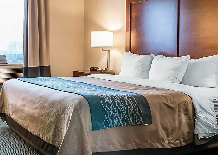 Bluffton Inn & Suites